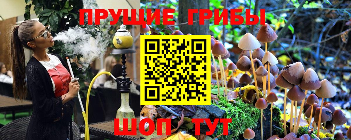 Галлюциногенные грибы Psilocybe Южно-Сахалинск