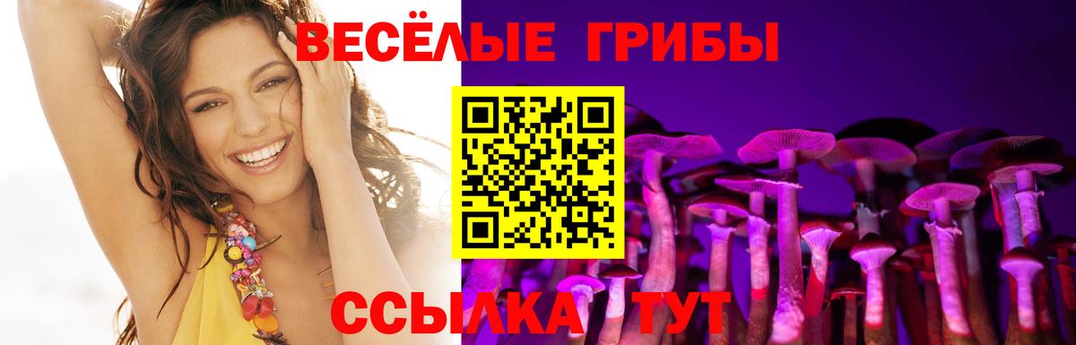 Галлюциногенные грибы Cubensis  Галлюциногенные грибы мицелий  Южно-Сахалинск  Вход с VPN 